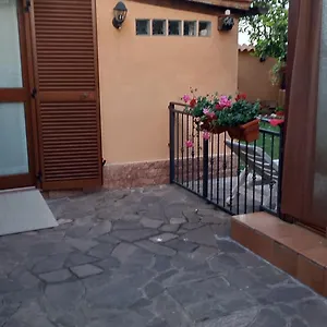 http://